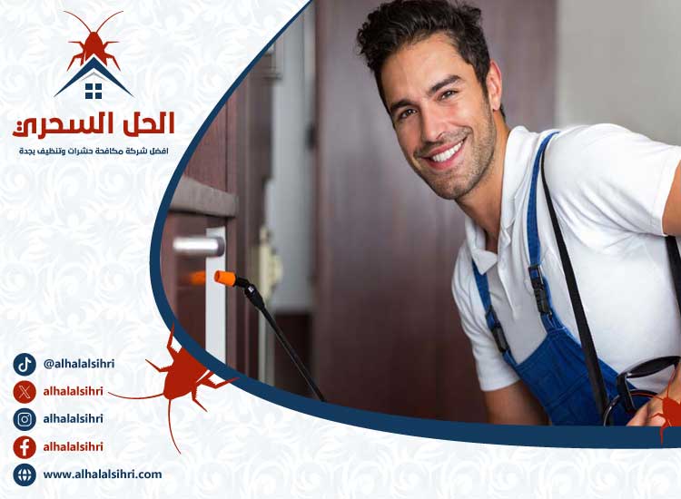 شركة مكافحة البعوض بجدة