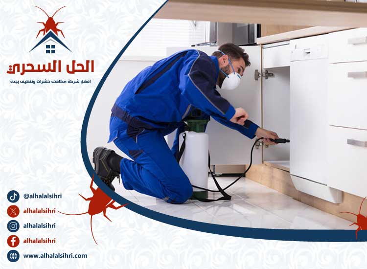 شركة تعقيم بجدة