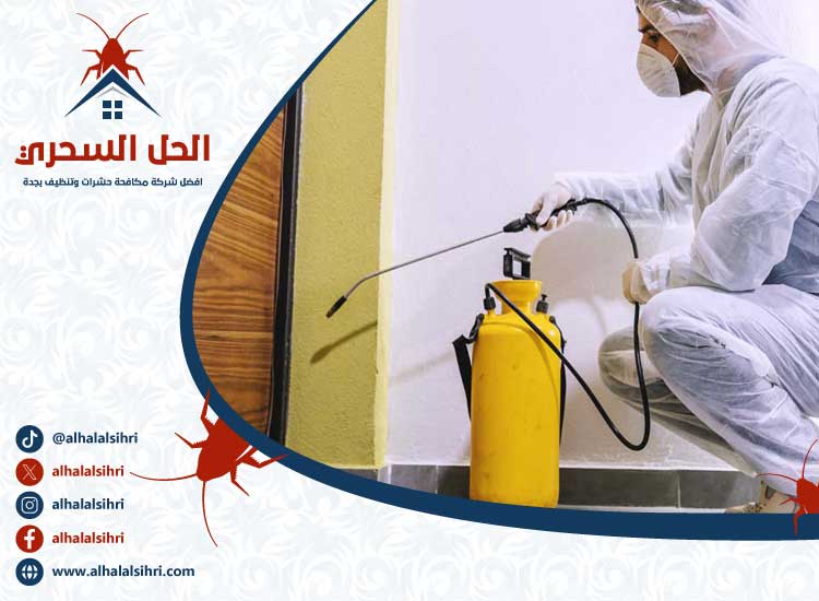 شركة تعقيم بجدة