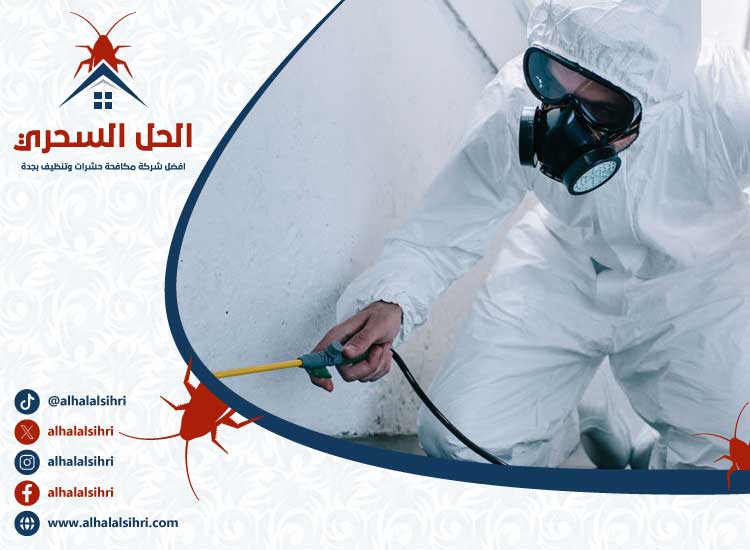 شركة مكافحة السوس بجدة