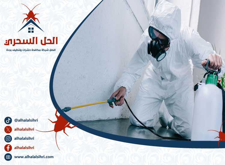 شركة مكافحة حشرات بجدة