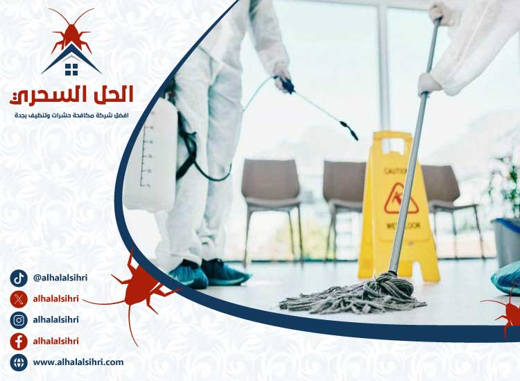 شركة مكافحة حشرات بجدة