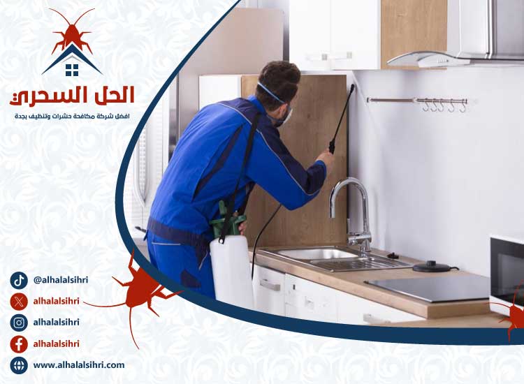 شركة مكافحة حشرات بجدة