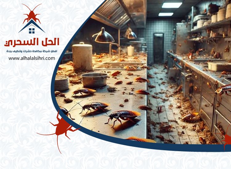 شركة مكافحة صراصير بجدة