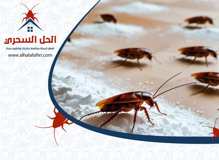 شركة مكافحة صراصير بجدة