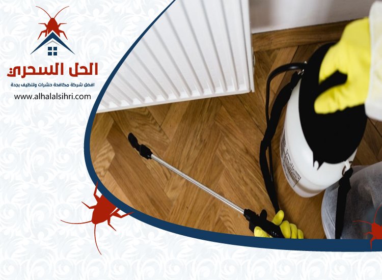 شركة مكافحة البعوض بجدة