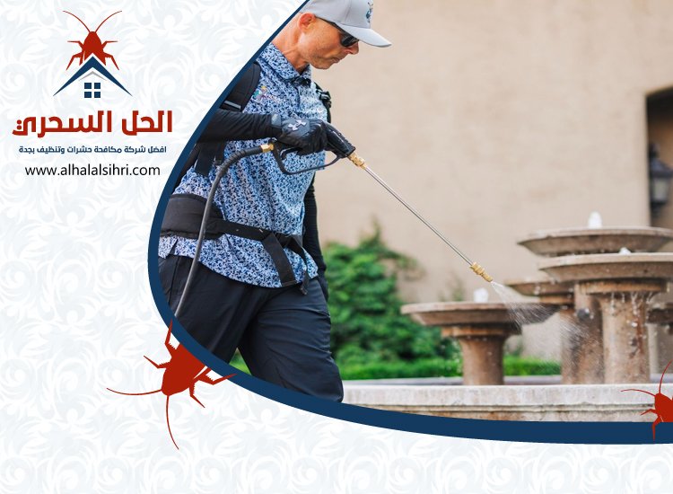 شركة مكافحة البراغيث بجدة