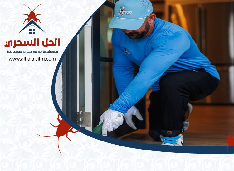 شركة مكافحة البراغيث بجدة