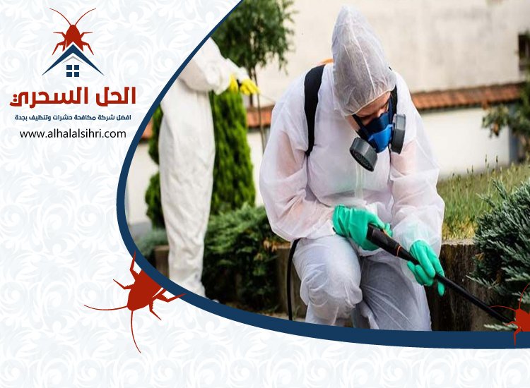 شركة مكافحة البراغيث بجدة