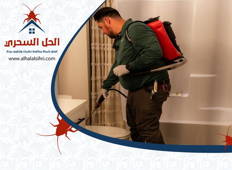 شركة مكافحة السوس بجدة