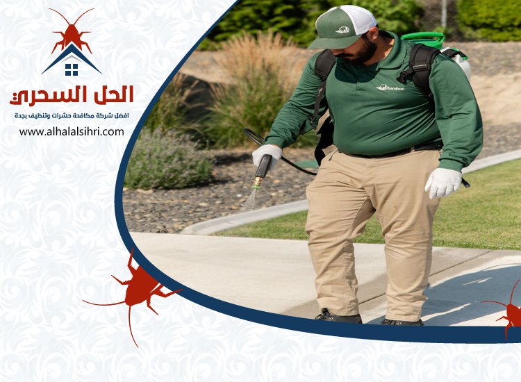 شركة مكافحة السوس بجدة