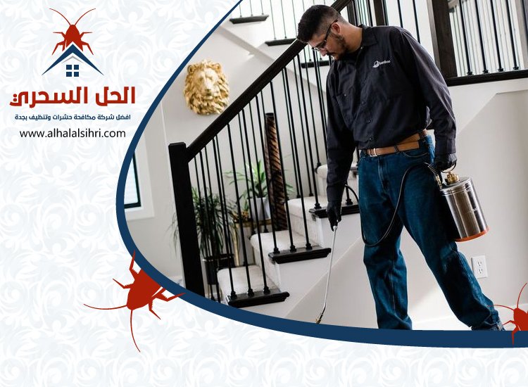 شركة مكافحة السوس بجدة