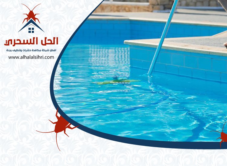 شركة تنظيف مسابح بجدة